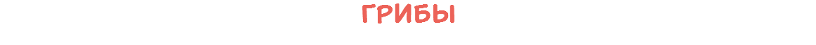 Грибы