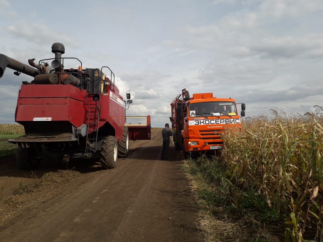 Ехали на камазе по кукурузному полю