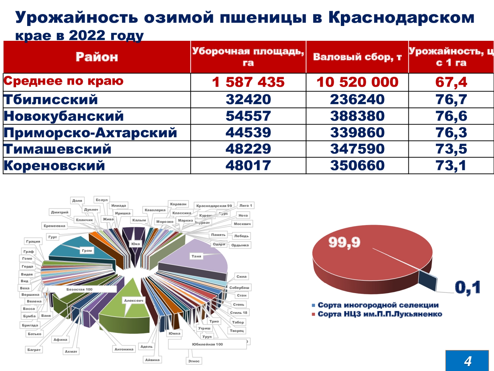 Краснодарская селекция пшеницы и тритикале покорила почти всю Россию  [+ВИДЕО] | agrobook.ru