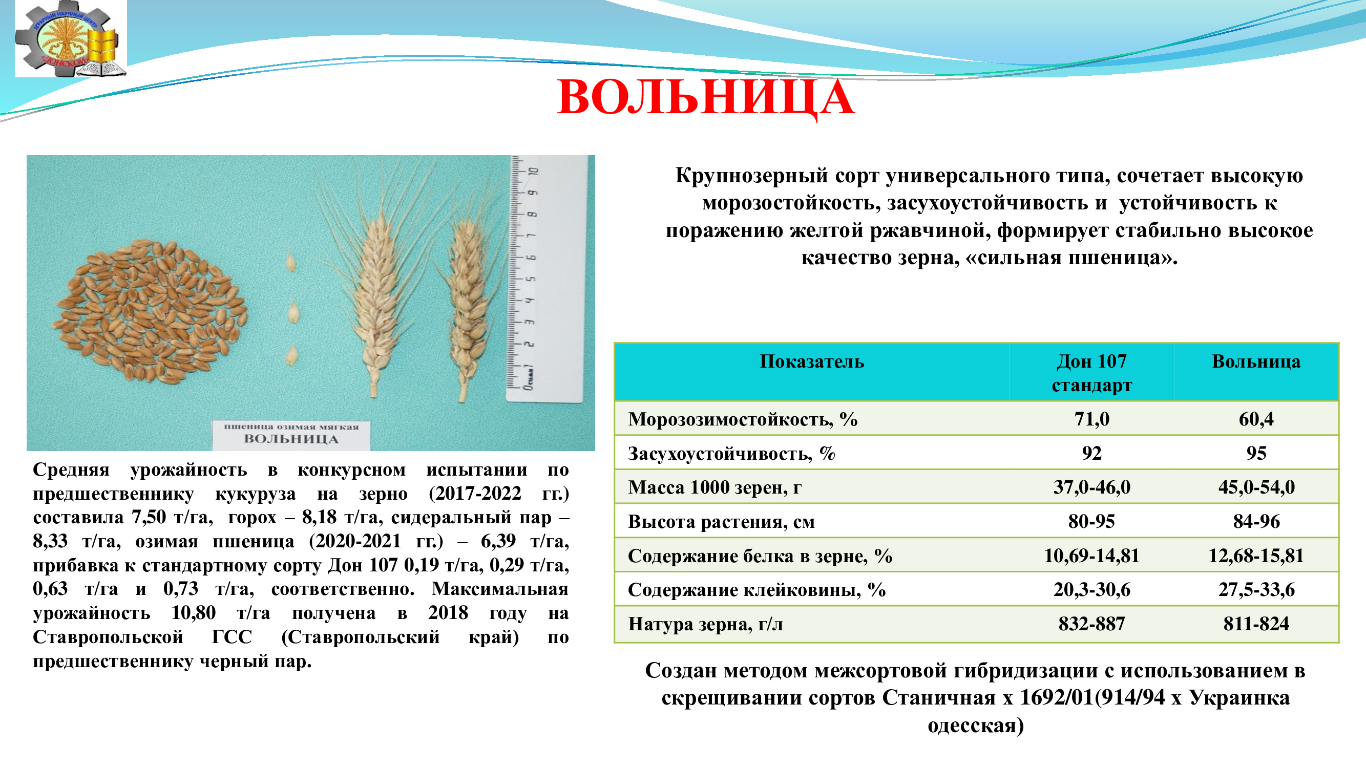 Название сорта пшеницы