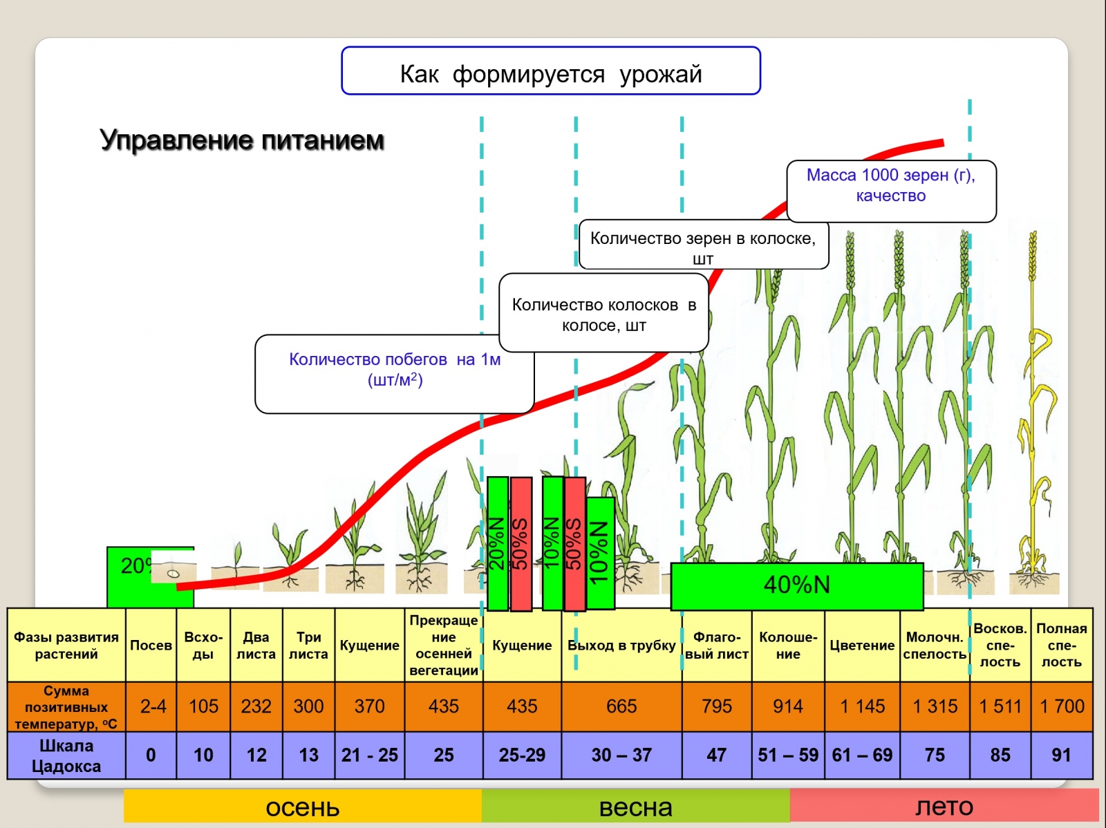 Дробное внесение удобрений. Производители зерна.