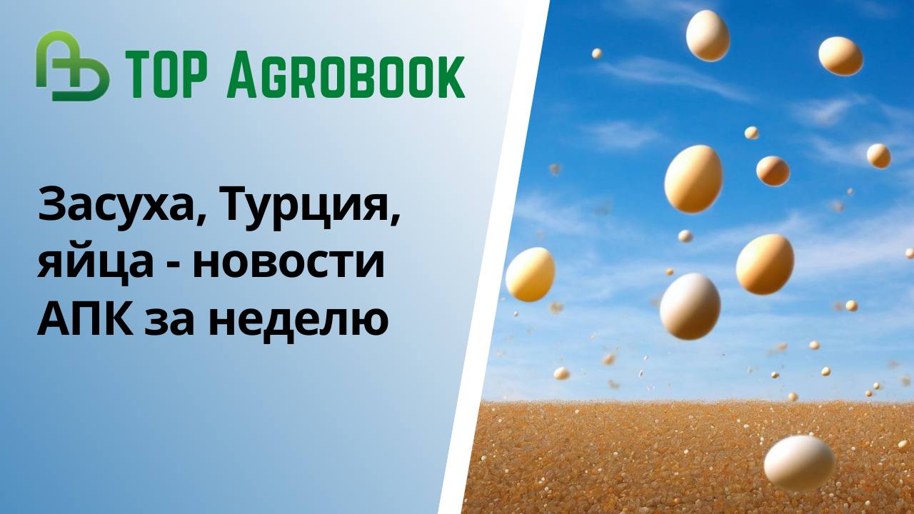 Лучшее порно ТОП - смотреть онлайн и бесплатно.