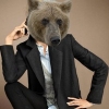 Аватар пользователя idbear_bear