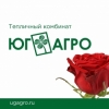 Аватар пользователя Дмитрий К.