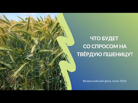 Что будет со спросом на твердую пшеницу? | Круглый стол на Всероссийском Дне поля-2024