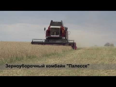 Как два хозяйства в Октябрьском районе Ростовской области увеличивают намолоты зерна