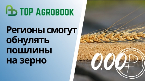 Регионы России смогут обнулять пошлины на зерно | TOP Agrobook: обзор аграрных новостей