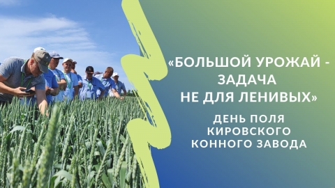 «Большой урожай - задача не для ленивых»: День поля Кировского конного завода
