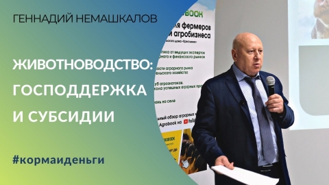 Меры господдержки животноводов в Ростовской области: субсидии в 2023 году