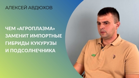 Оксана уже на подходе: чем «АГРОПЛАЗМА» заменит импортные гибриды кукурузы и подсолнечника