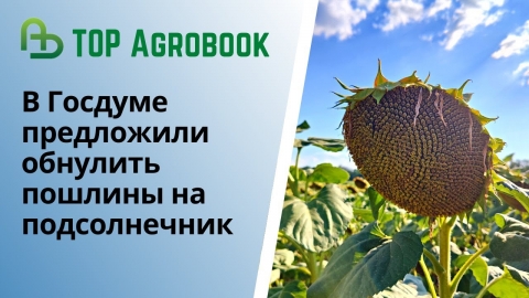 В Госдуме предложили обнулить пошлины на подсолнечник. TOP Agrobook: обзор аграрных новостей