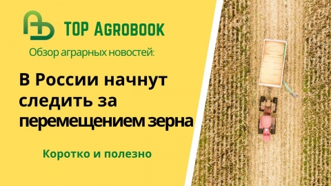 В России начнут следить за перемещением зерна. TOP Agrobook: обзор аграрных новостей