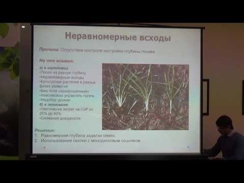 Особенности выращивания озимой пшеницы по технологии прямого посева, система питания (Елена Дудкина)