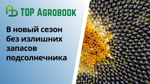 В новый сезон без излишних запасов подсолнечника | TOP Agrobook: обзор аграрных новостей