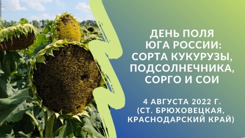 День поля Юга России: сорта кукурузы, подсолнечника, сорго и сои