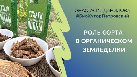 Роль сорта в органическом земледелии #БиоХуторПетровский