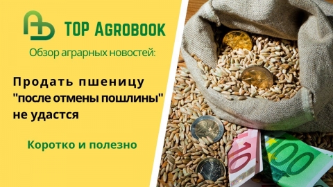 Продать пшеницу "после отмены пошлины" не удастся. TOP Agrobook: обзор аграрных новостей