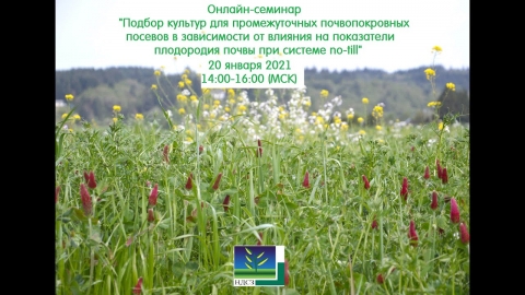 Онлайн-семинар по покровным культурам