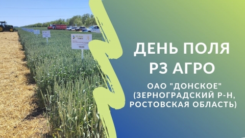 День поля «РЗ Агро». Пшеница, лён, горох, нут. Сорта, технологии выращивания в «РЗ Агро»