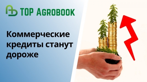 Коммерческие кредиты станут дороже | TOP Agrobook: обзор аграрных новостей