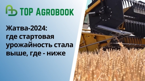 Жатва-2024: где стартовая урожайность стала выше, где - ниже | TOP Agrobook: обзор аграрных новостей