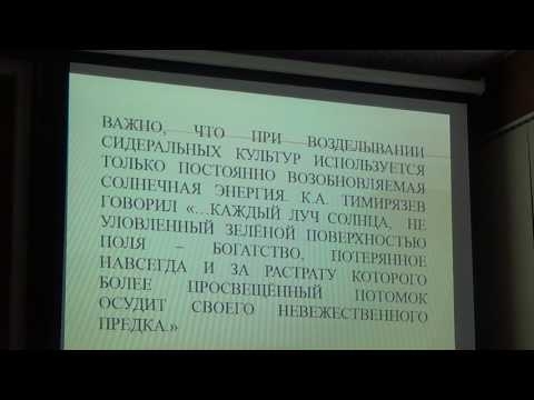 Возделывание промежуточных фитомелиоративных сидеральных культур в Краснодарском крае