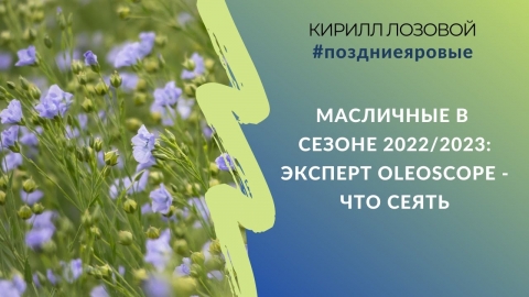 Масличные в сезоне 2022/2023. Эксперт Oleoscope - что сеять