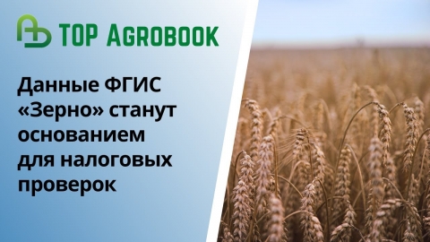 Данные ФГИС «Зерно» станут основанием для налоговых проверок | TOP Agrobook: обзор аграрных новостей