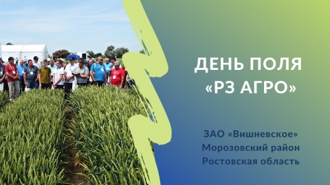 Какие сорта пшеницы сеять на севере Ростовской области в Калмыцкой степи | День поля «РЗ Агро»