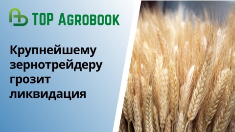 Крупнейшему зернотрейдеру грозит ликвидация | TOP Agrobook: обзор аграрных новостей