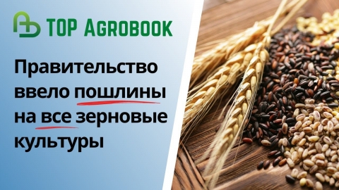 Правительство ввело пошлины на все зерновые культуры | TOP Agrobook: обзор аграрных новостей