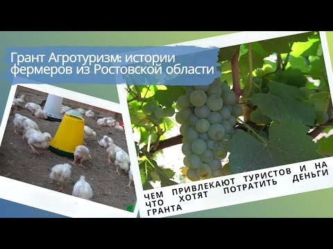 Грант Агротуризм: истории фермеров из Ростовской области