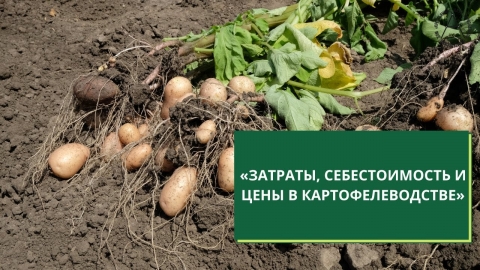 Фермер Николай Юзефов о картофеле, бизнесе, инвестициях в людей. Интервью Часть 2