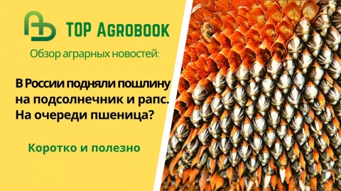 В РФ подняли пошлину на подсолнечник и рапс. На очереди пшеница? TOP Agrobook: обзор агроновостей
