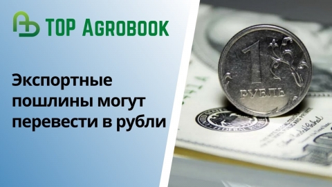 Экспортные пошлины могут перевести в рубль. TOP Agrobook: обзор аграрных новостей