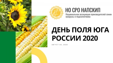 «День Поля Юга России-2020»: сорта и гибриды кукурузы, подсолнечника, сои, сорго, агротехнологии