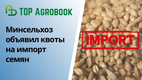 Минсельхоз объявил квоты на импорт семян | TOP Agrobook: обзор аграрных новостей