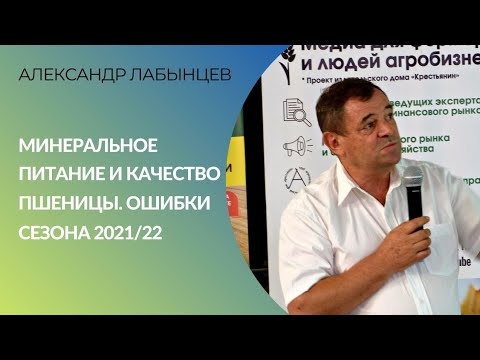 Минеральное питание и качество пшеницы. Ошибки сезона 2021/22