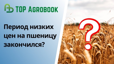 Период низких цен на пшеницу закончился? | TOP Agrobook: обзор аграрных новостей