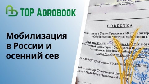 Мобилизация в России и осенний сев: сельское хозяйство рискует остаться без кадров. TOP Agrobook