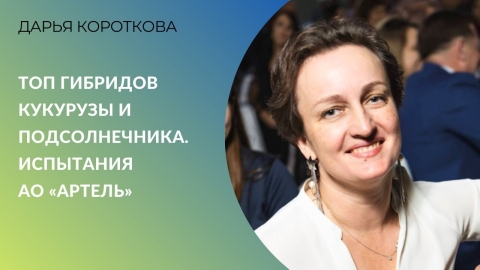 Пропашные-2025 | ТОП гибридов кукурузы и подсолнечника. Испытания АО «Артель»