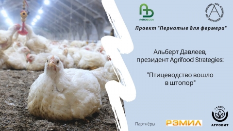 Альберт Давлеев: "Птицеводство вошло в штопор"