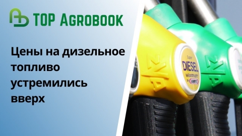 Цены на дизельное топливо устремились вверх| TOP Agrobook: обзор аграрных новостей