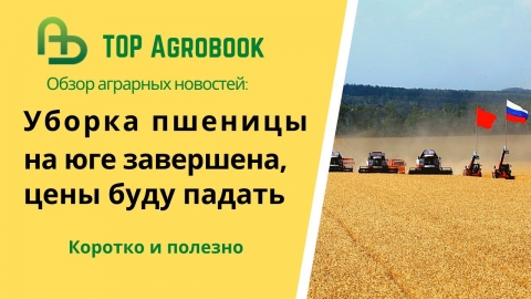 Уборка пшеницы на юге завершена, цены будут падать. TOP Agrobook: обзор аграрных новостей