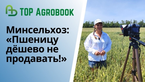 Минсельхоз: «Пшеницу дёшево не продавать!» | Выпуск новостей прямо с полей | TOP Agrobook
