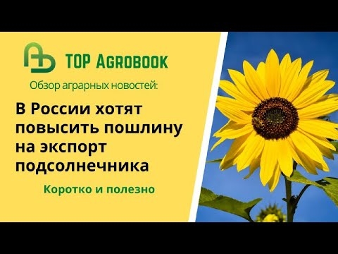 В России хотят повысить пошлину на экспорт подсолнечника. TOPAgrobook: обзор аграрных новостей