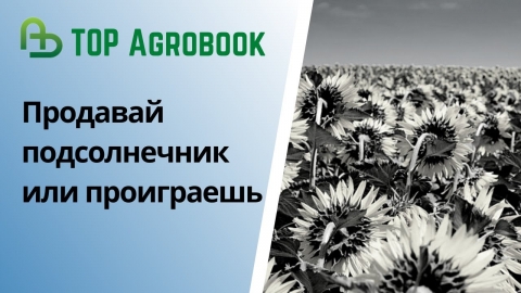 Продавай подсолнечник или проиграешь | TOP Agrobook: обзор аграрных новостей