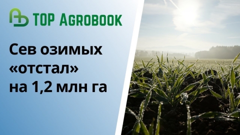 Сев озимых «отстал» на 1,2 млн га | TOP Agrobook: обзор аграрных новостей