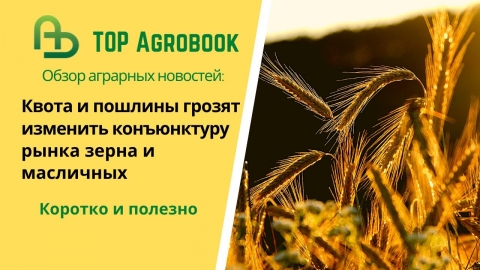 Квота и пошлины грозят изменить конъюнктуру рынка зерна и масличных. TOP Agrobook обзор агроновостей