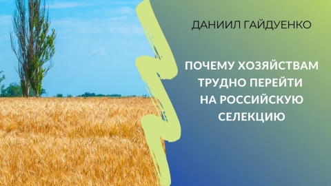 Почему хозяйствам трудно перейти на российскую селекцию | Даниил Гайдуенко, Колхоз «50 лет Октября»